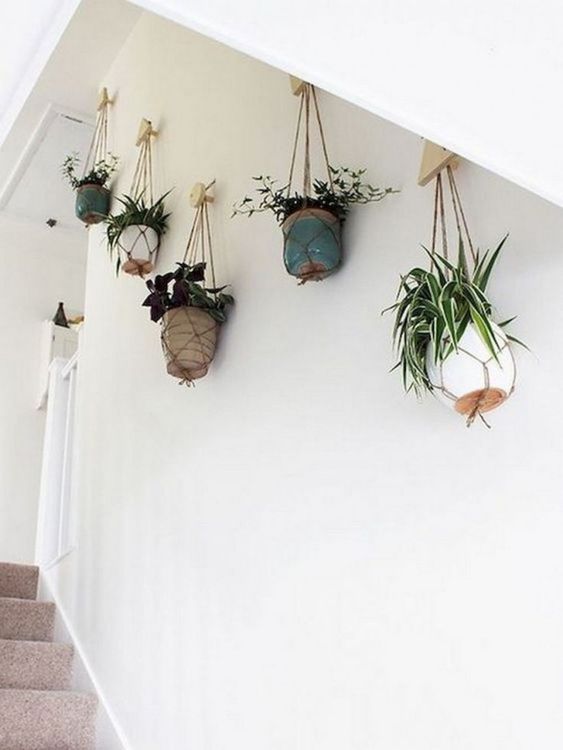 Idée déco plantes vertes suspendus escaliers